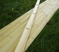 bambus lamperija - obloga zidova bambusom